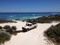 Lancelin Wedge Island (6)